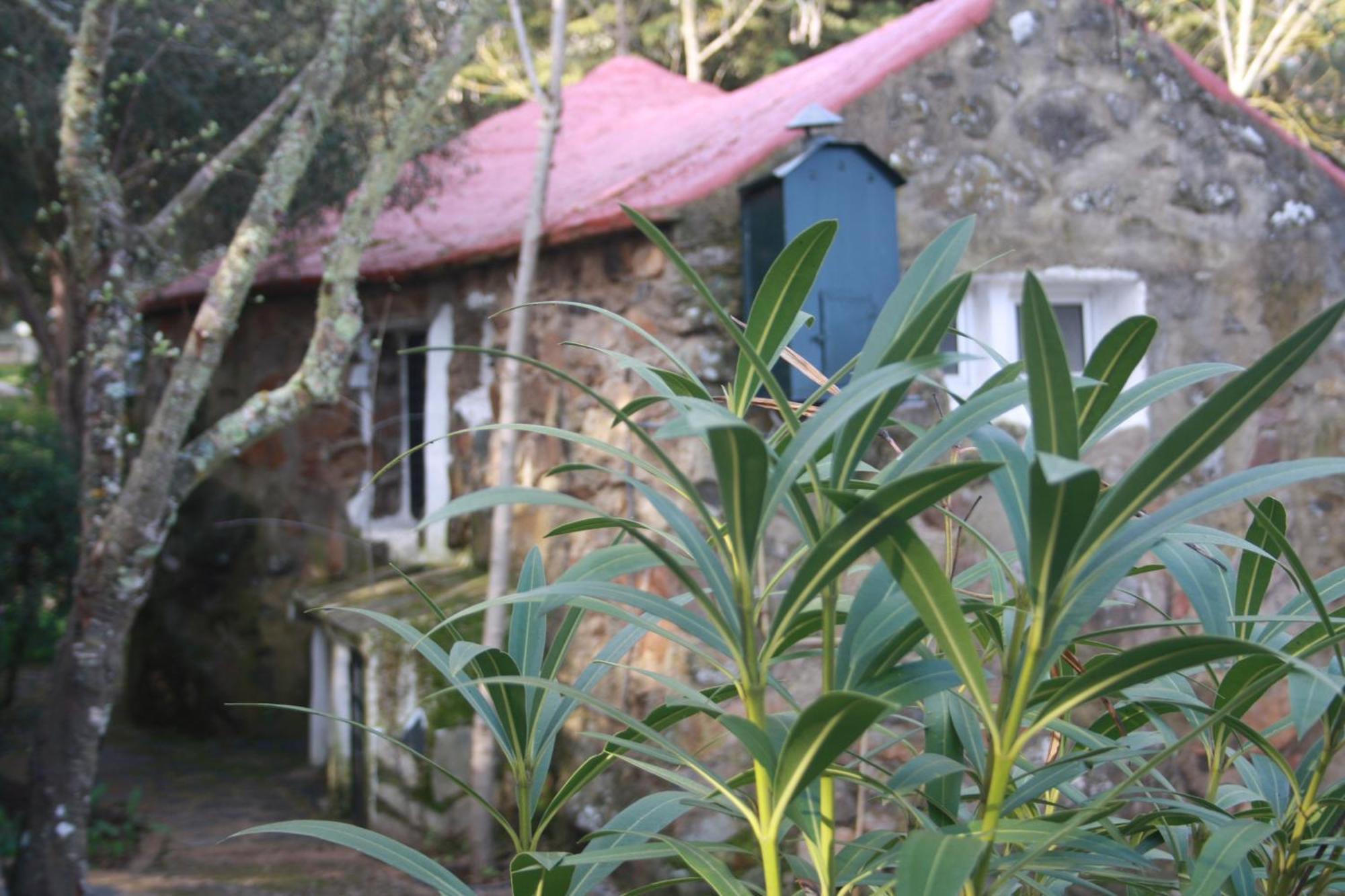 Las Cabanas De Buffalos Cumbres Mayores Exterior photo